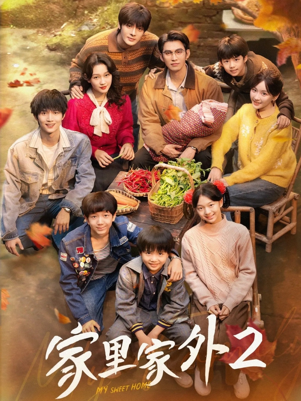 家里家外第二季(全集)
